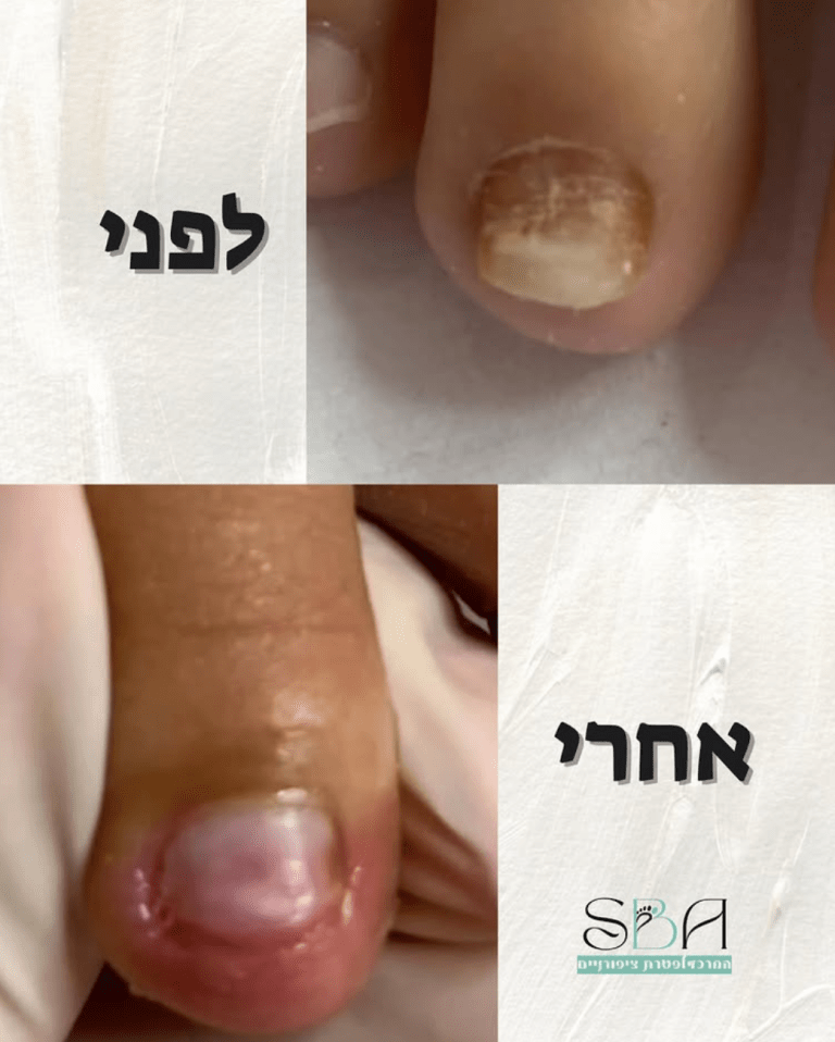 צילום מסך 2025-10-26 ב-10.01.46