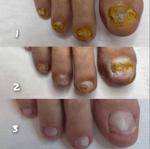 צילום מסך 2025-10-26 ב-10.02.29